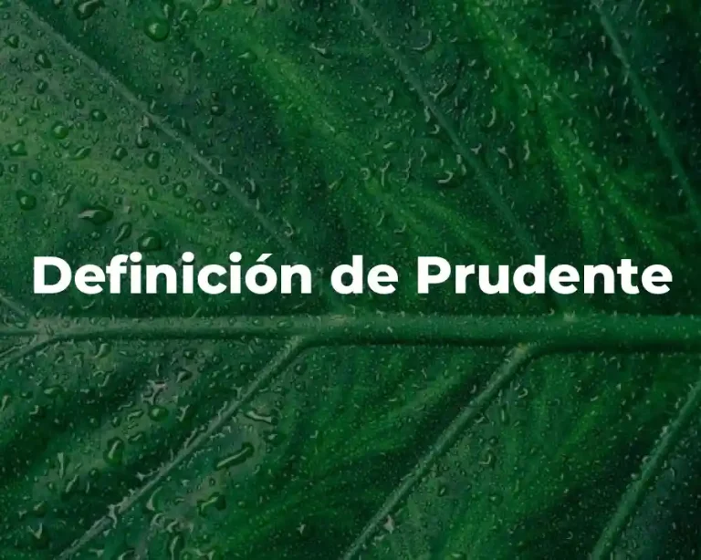 Definición de Prudente