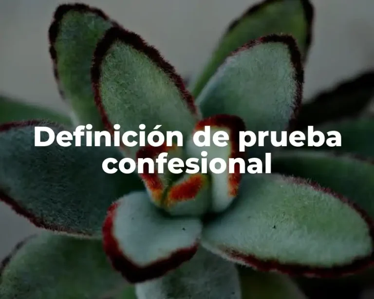 Definición de prueba confesional