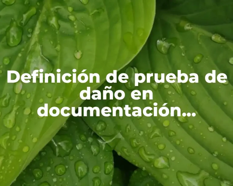 Definición de prueba de daño en documentación expedida por proveedores