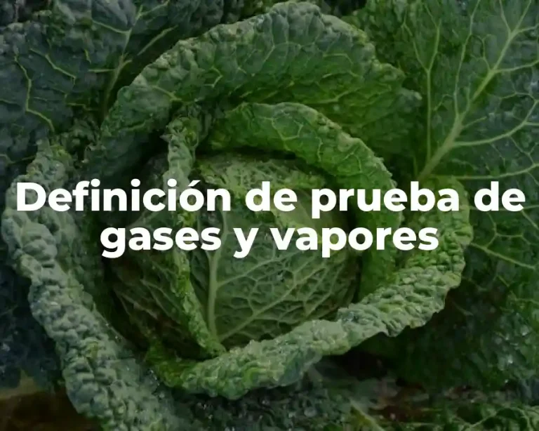 Definición de prueba de gases y vapores