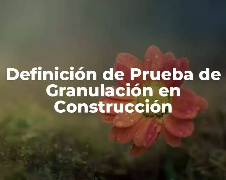 Definición de Prueba de Granulación en Construcción