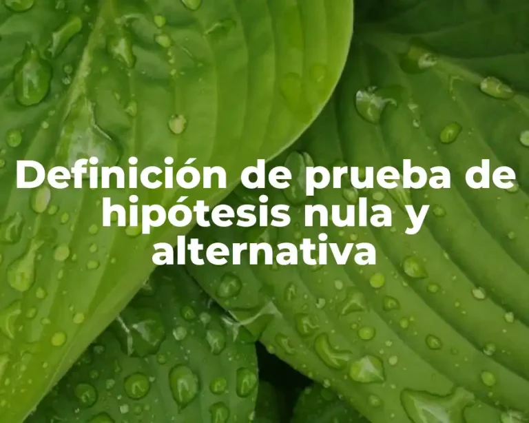 Definición de prueba de hipótesis nula y alternativa