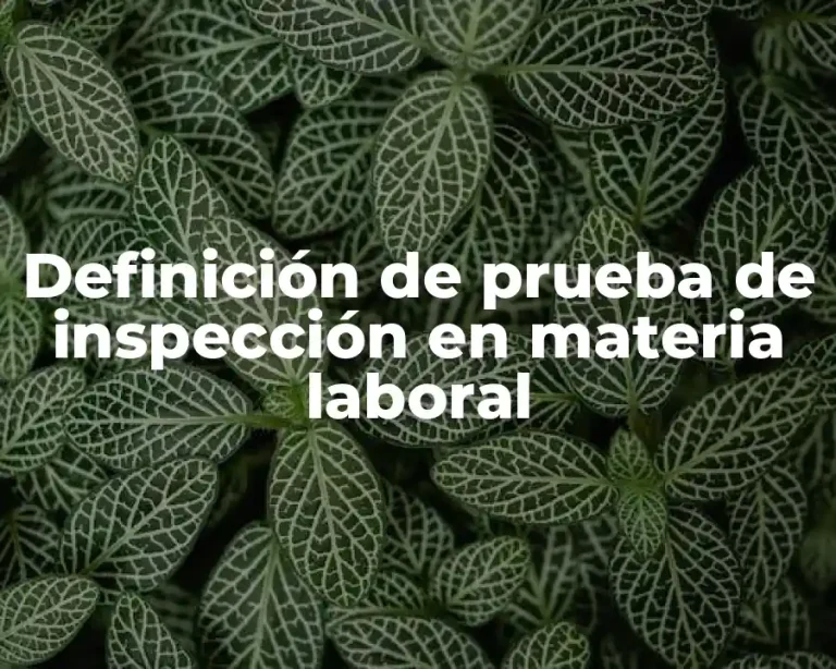 Definición de prueba de inspección en materia laboral