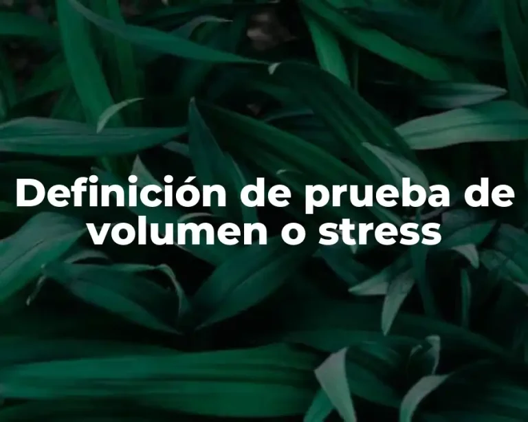 Definición de prueba de volumen o stress