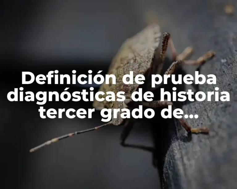 Definición de prueba diagnósticas de historia tercer grado de secundaria