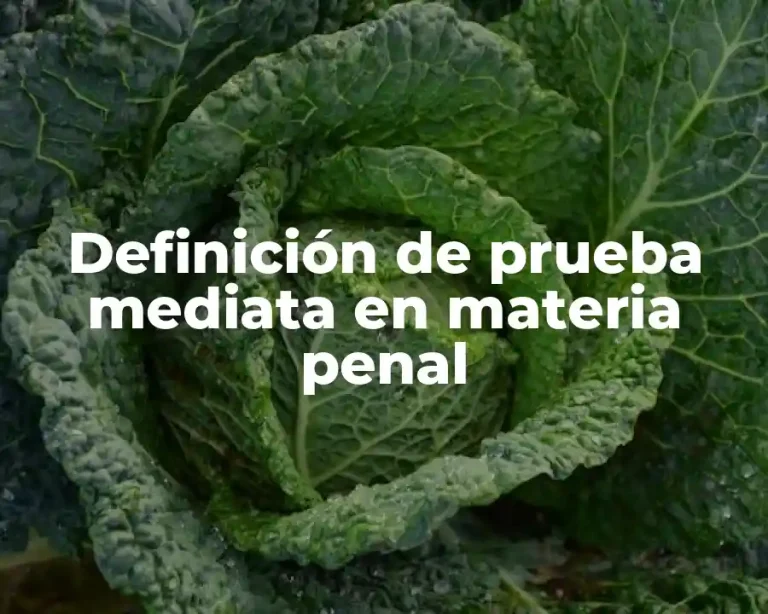 Definición de prueba mediata en materia penal
