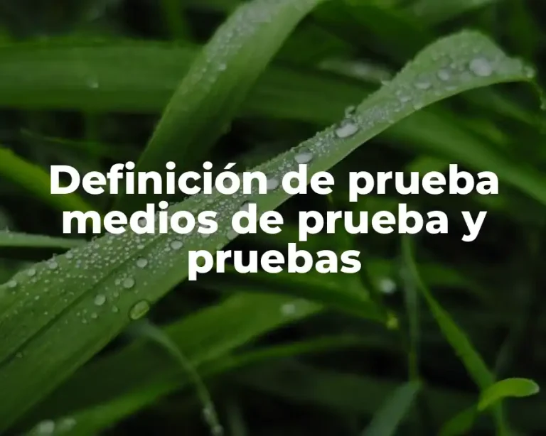 Definición de prueba medios de prueba y pruebas