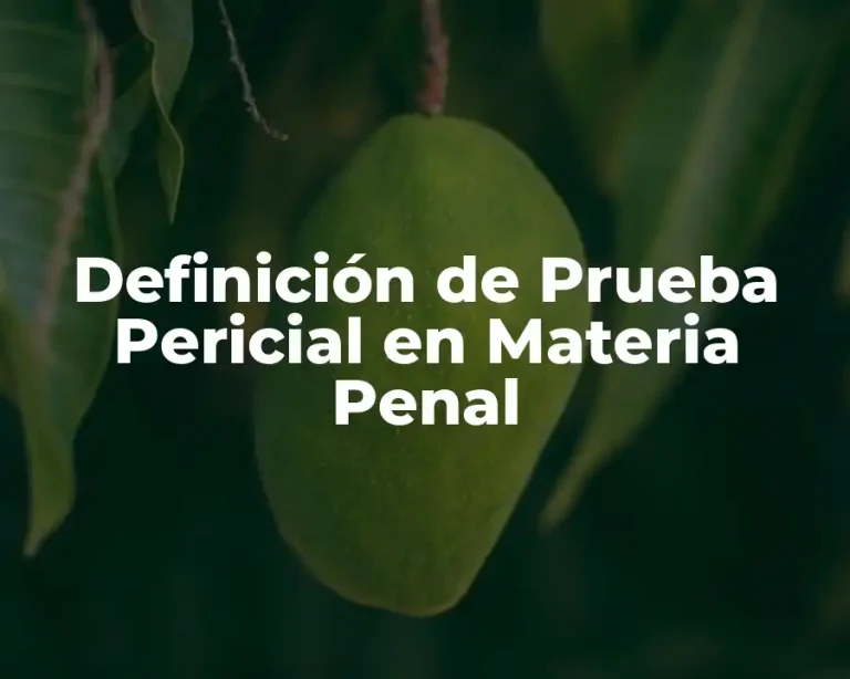 Definición de Prueba Pericial en Materia Penal