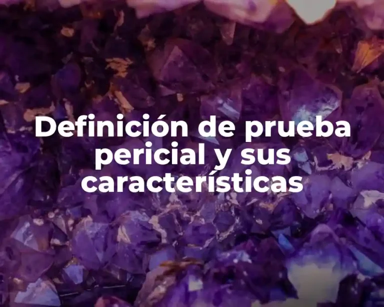 Definición de prueba pericial y sus características