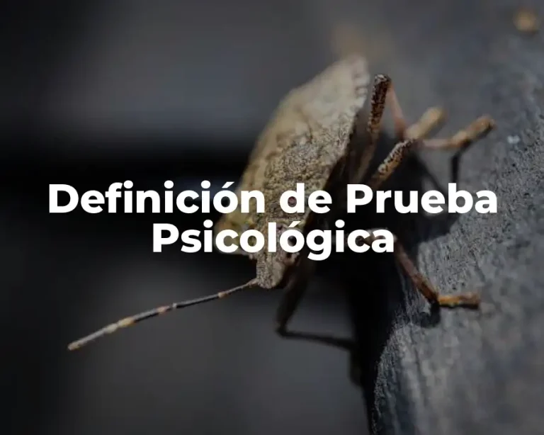 Definición de Prueba Psicológica