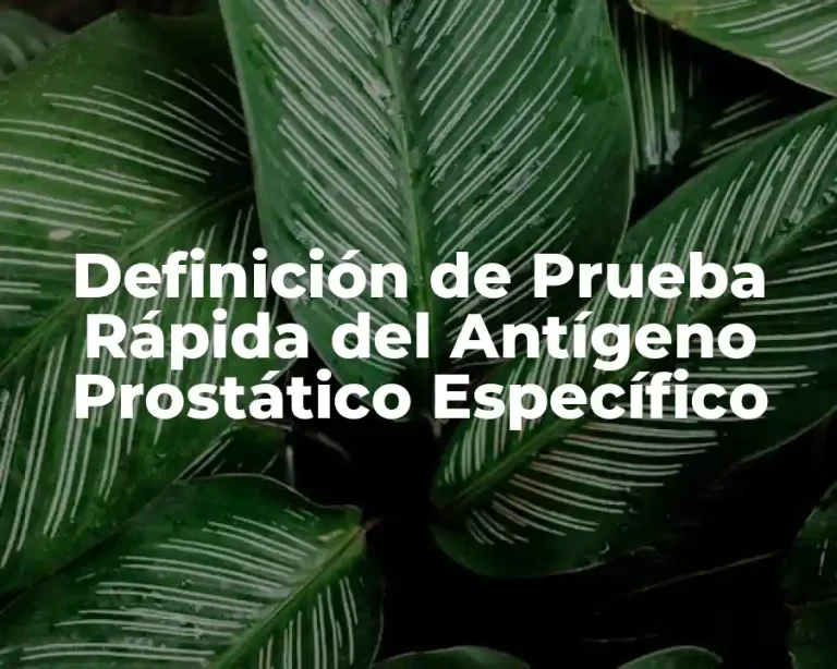 Definición de Prueba Rápida del Antígeno Prostático Específico