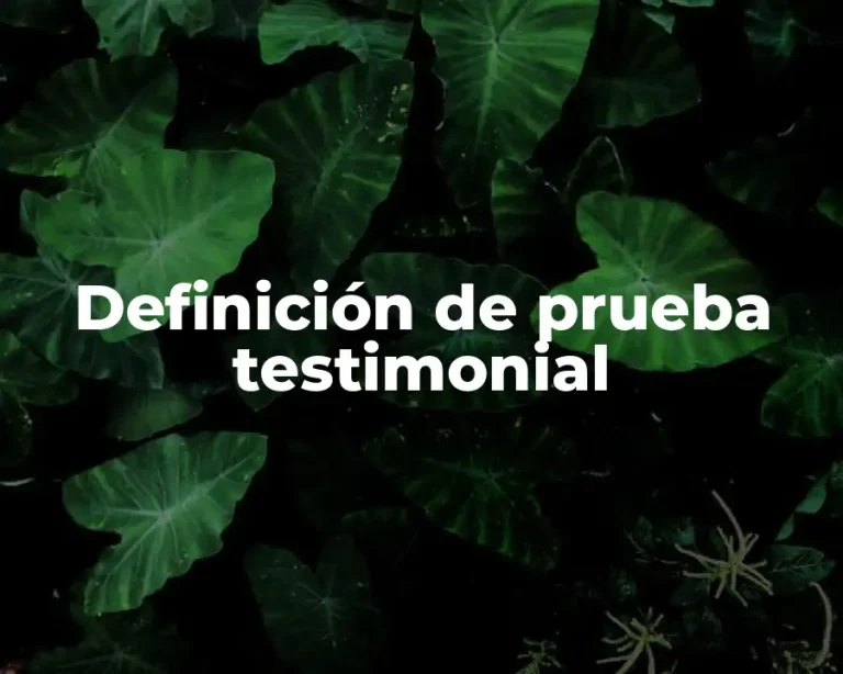 Definición de prueba testimonial