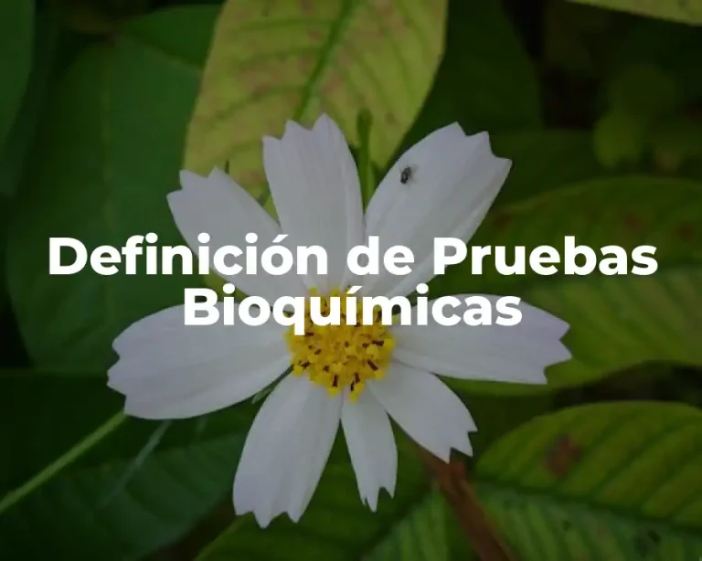 Definición de Pruebas Bioquímicas