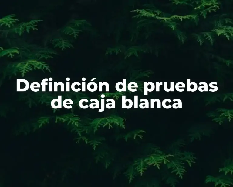 Definición de pruebas de caja blanca
