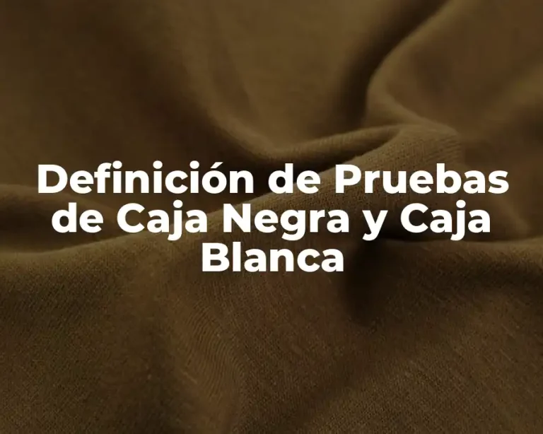 Definición de Pruebas de Caja Negra y Caja Blanca