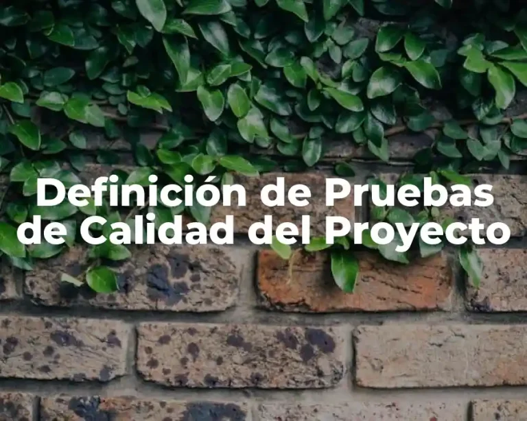 Definición de Pruebas de Calidad del Proyecto