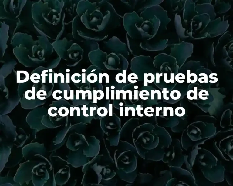 Definición de pruebas de cumplimiento de control interno