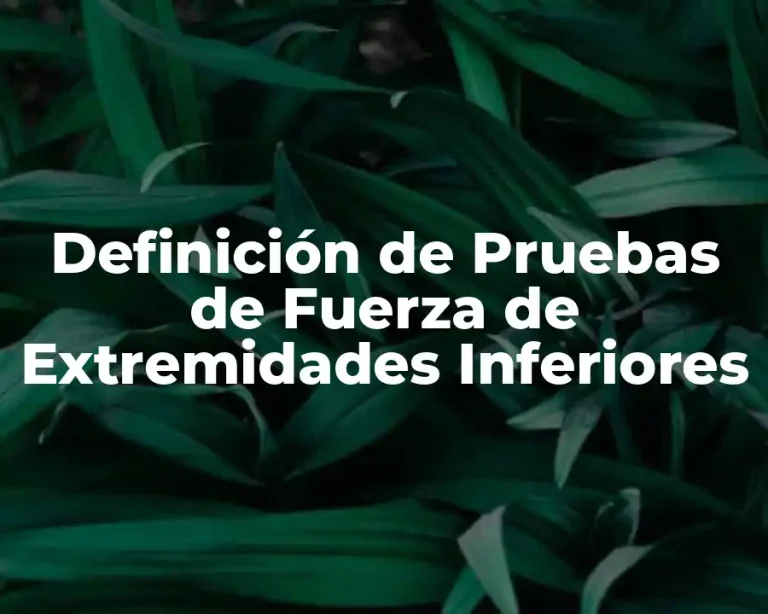 Definición de Pruebas de Fuerza de Extremidades Inferiores