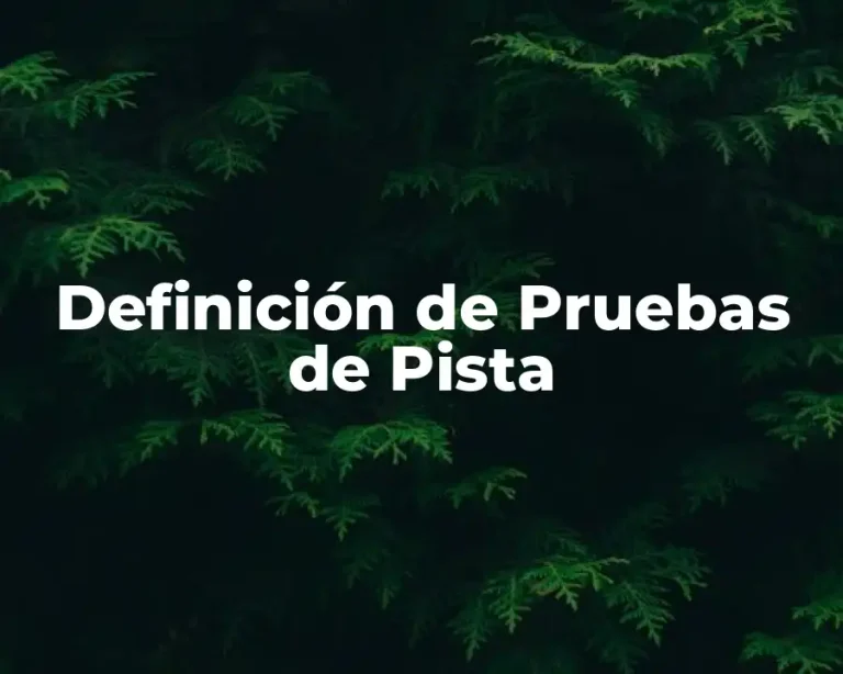 Definición de Pruebas de Pista