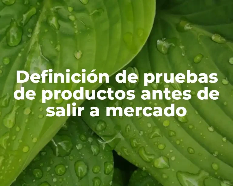 Definición de pruebas de productos antes de salir a mercado