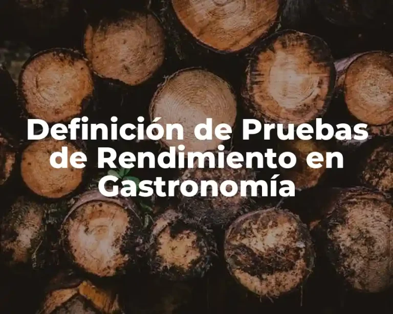 Definición de Pruebas de Rendimiento en Gastronomía