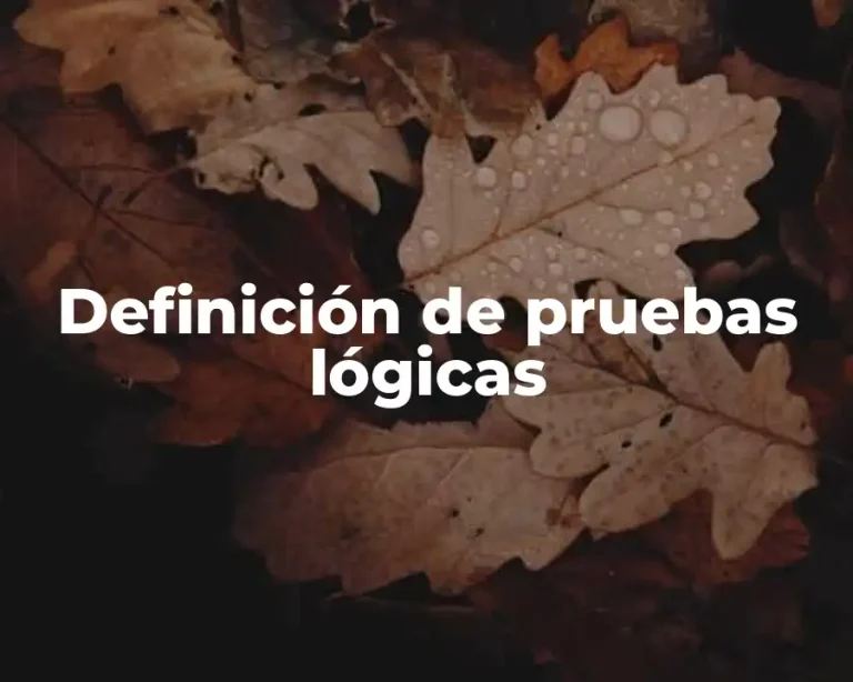 Definición de pruebas lógicas