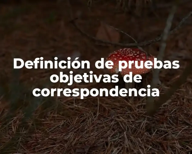 Definición de pruebas objetivas de correspondencia
