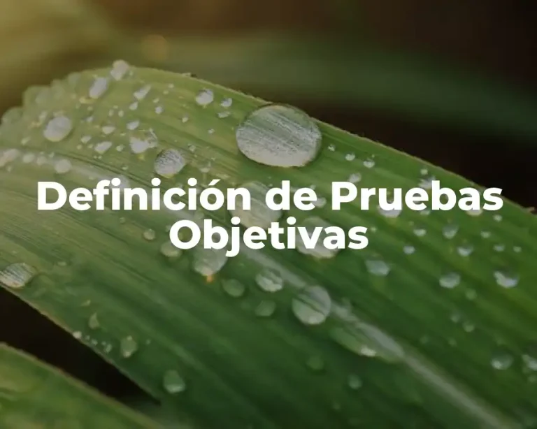 Definición de Pruebas Objetivas