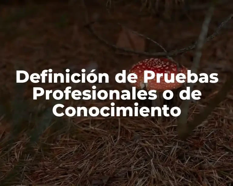 Definición de Pruebas Profesionales o de Conocimiento