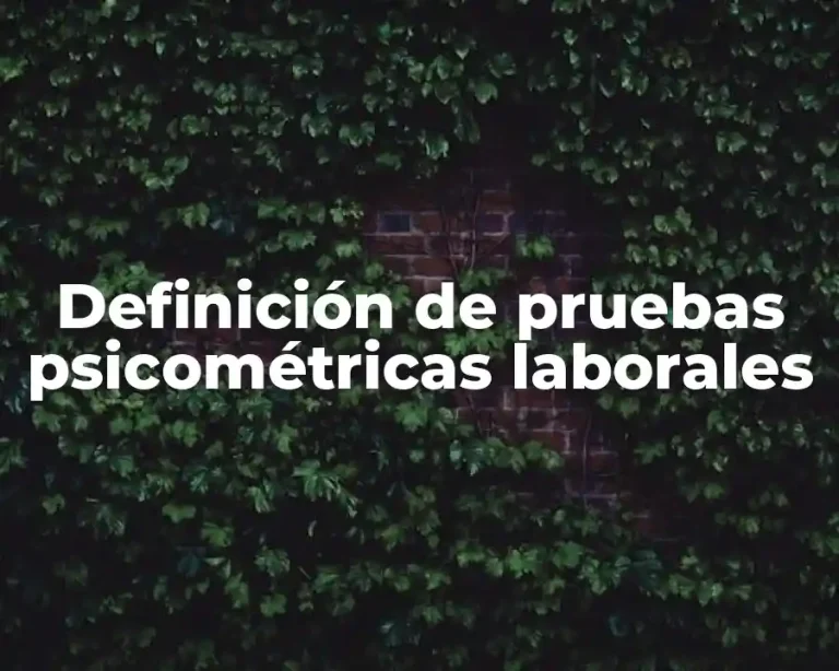 Definición de pruebas psicométricas laborales