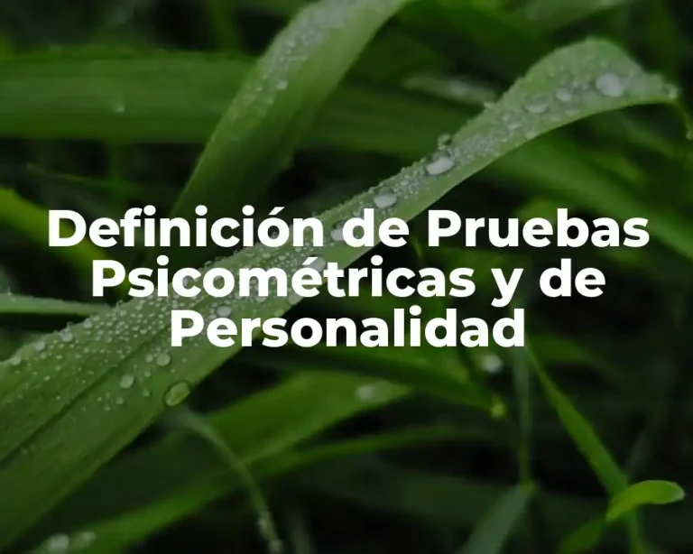 Definición de Pruebas Psicométricas y de Personalidad