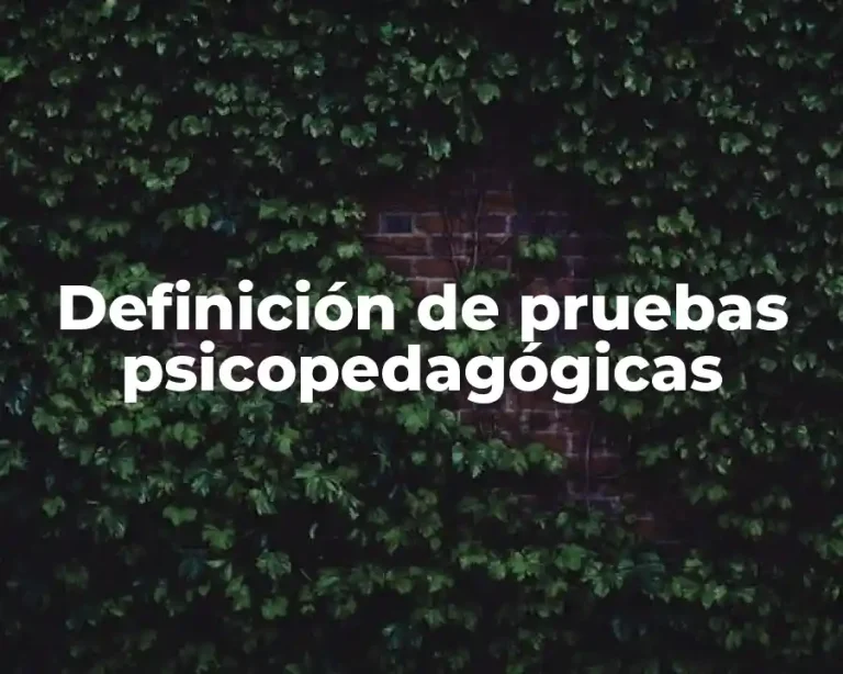 Definición de pruebas psicopedagógicas