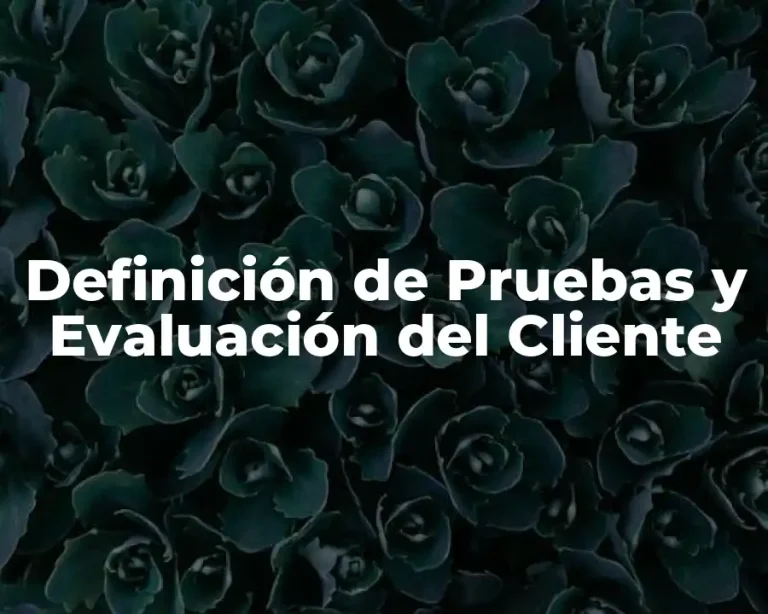 Definición de Pruebas y Evaluación del Cliente