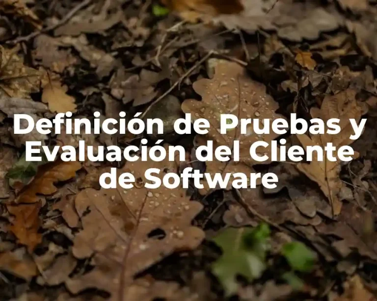 Definición de Pruebas y Evaluación del Cliente de Software