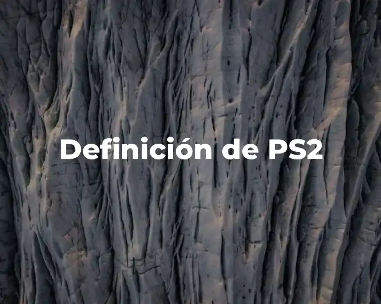 Definición de PS2