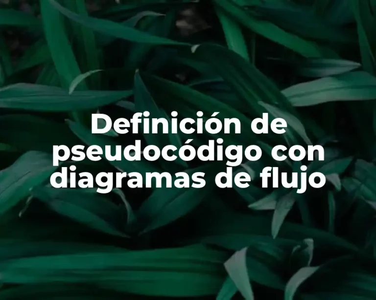 Definición de pseudocódigo con diagramas de flujo