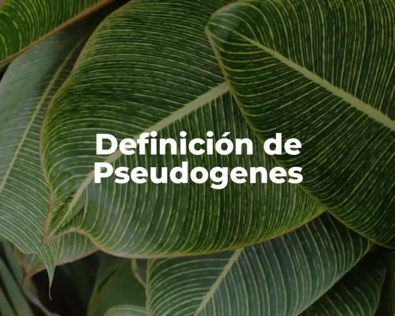 Definición de Pseudogenes