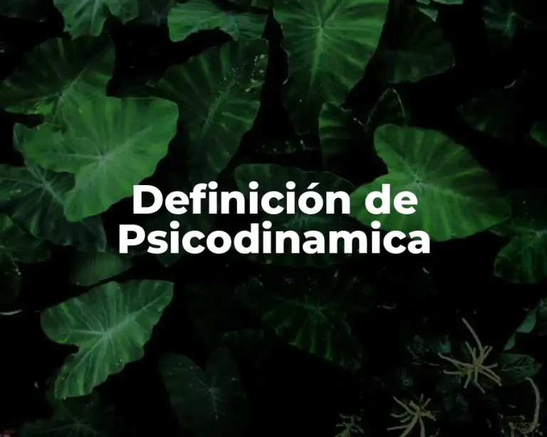 Definición de Psicodinamica