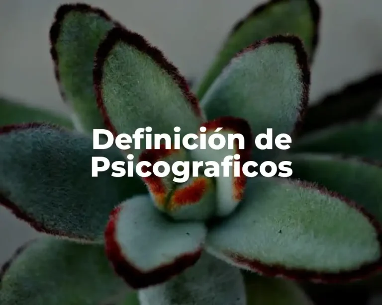 Definición de Psicograficos