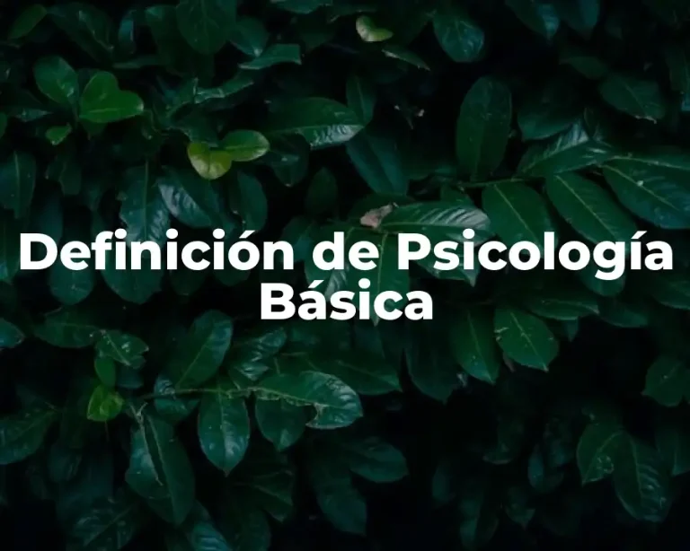 Definición de Psicología Básica