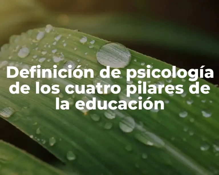 Definición de psicología de los cuatro pilares de la educación