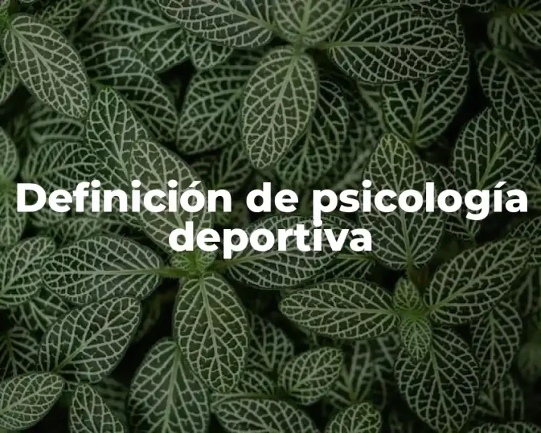 Definición de psicología deportiva