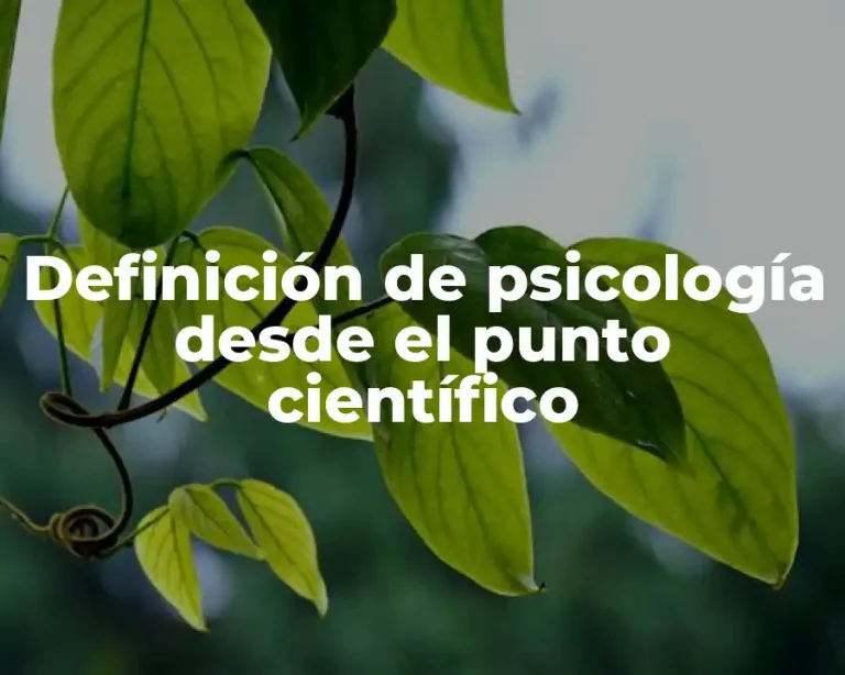 Definición de psicología desde el punto científico
