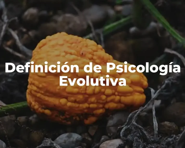 Definición de Psicología Evolutiva