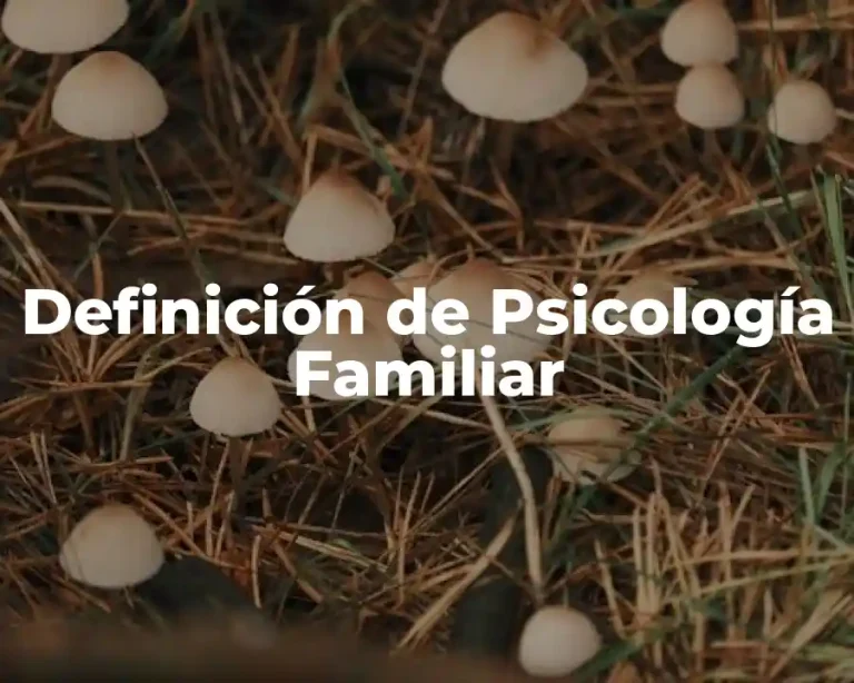 Definición de Psicología Familiar