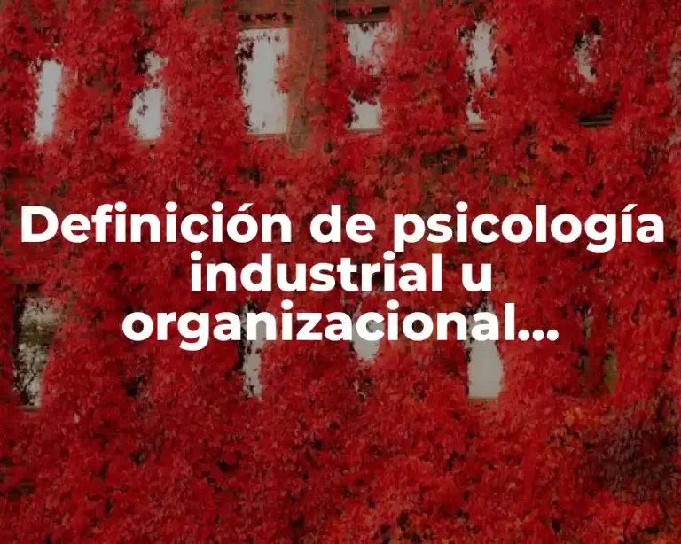 Definición de psicología industrial u organizacional diapositivas