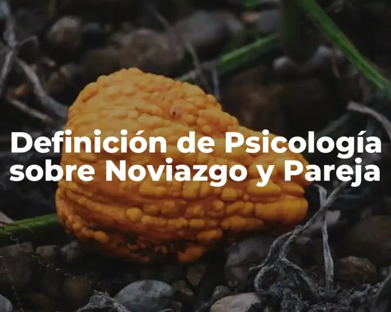 Definición de Psicología sobre Noviazgo y Pareja