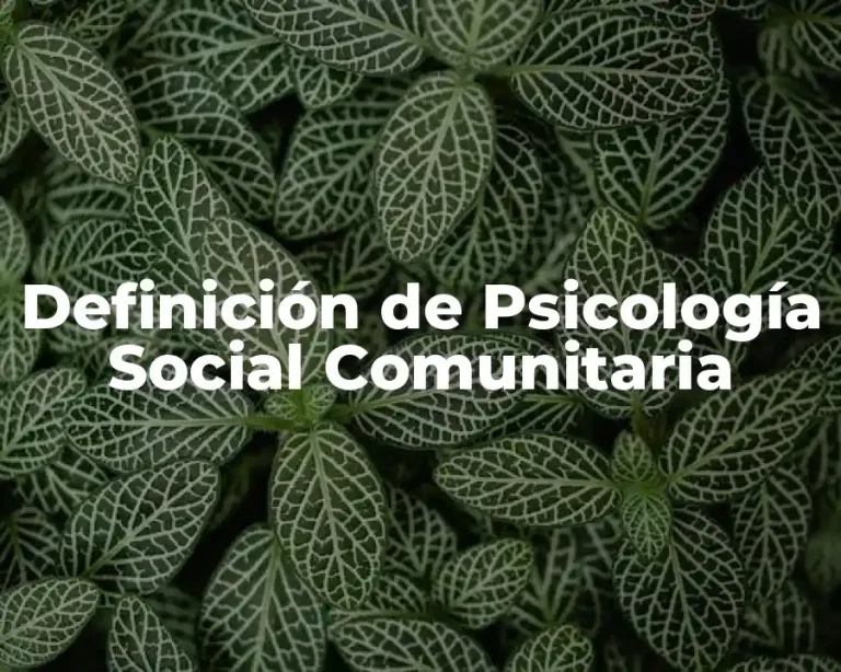 Definición de Psicología Social Comunitaria