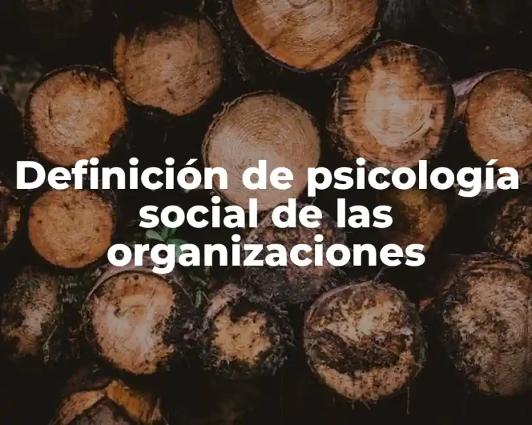 Definición de psicología social de las organizaciones