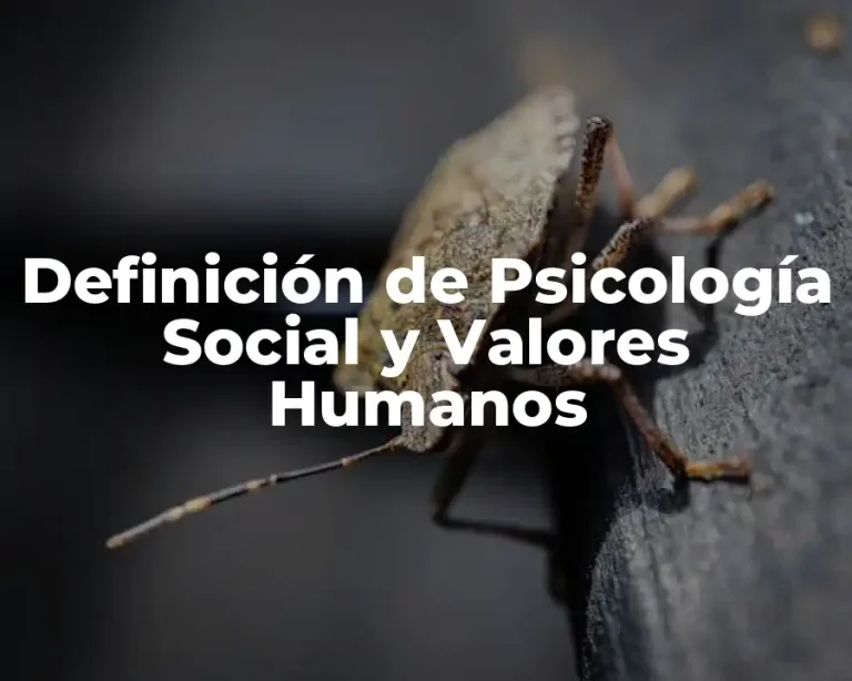 Definición de Psicología Social y Valores Humanos